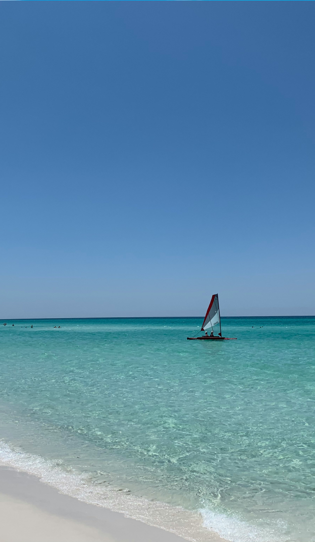 Dune Allen Beach Florida on the Emerald Coast with sugar-white sand and emerald Gulf waters